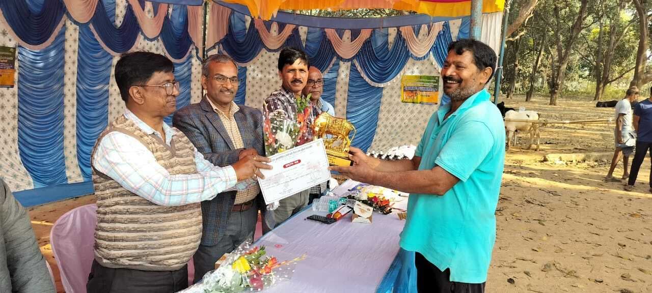 बछड़ा प्रदर्शनी का किया गया आयोजन