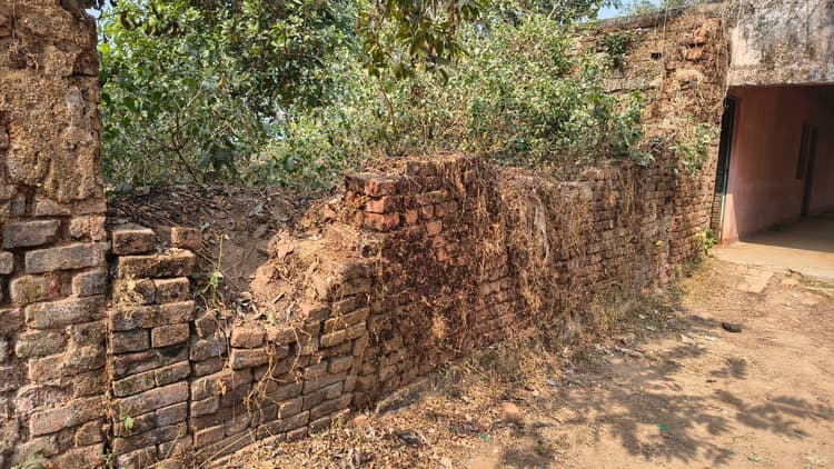 टूटी चहारदीवारी से स्कूल परिसर में घुसा था लकड़बग्घा