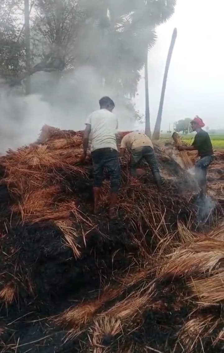अगलगी में एक लाख मूल्य का पुआल जला
