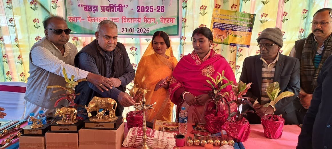 बलबड्डा में बछड़ा प्रदर्शनी का आयोजन, पशुपालकों को किया गया सम्मानित