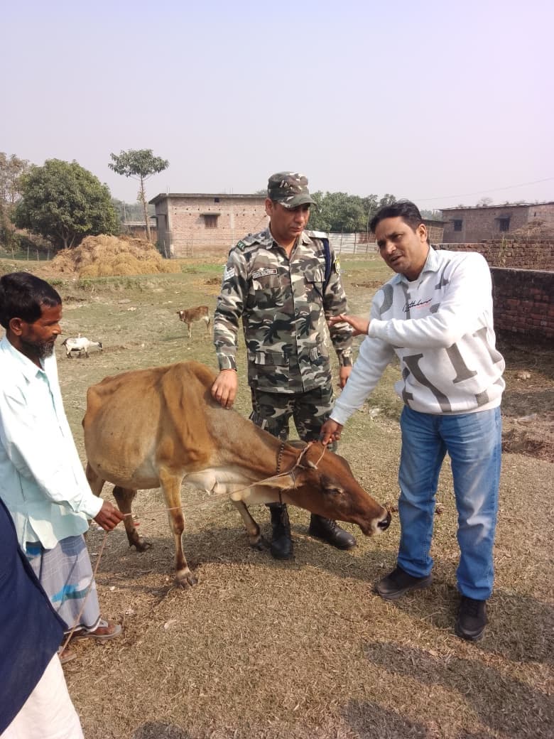 शिविर में 225 पशुओं की स्वास्थ्य जांच