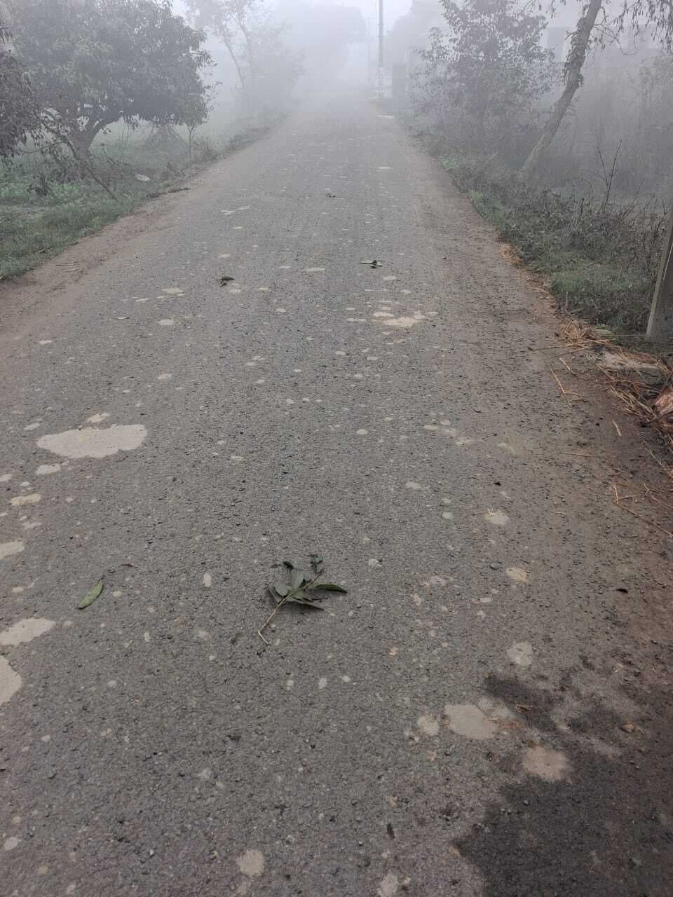 बनने के साथ उखड़ने लगी मलही से नारायणपुर दलित बस्ती की सड़क