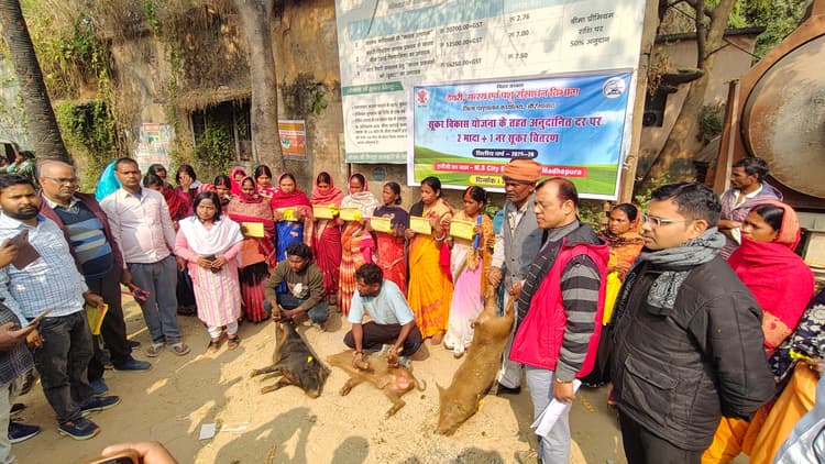 अनुदानित दर पर 55 लाभार्थियों  के बीच किया गया सुकरों का वितरण