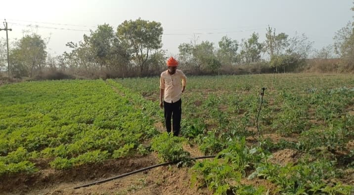 जहां कभी बिखरी रहती शवों की राख, आज वहां बिछी है हरियाली की चादर