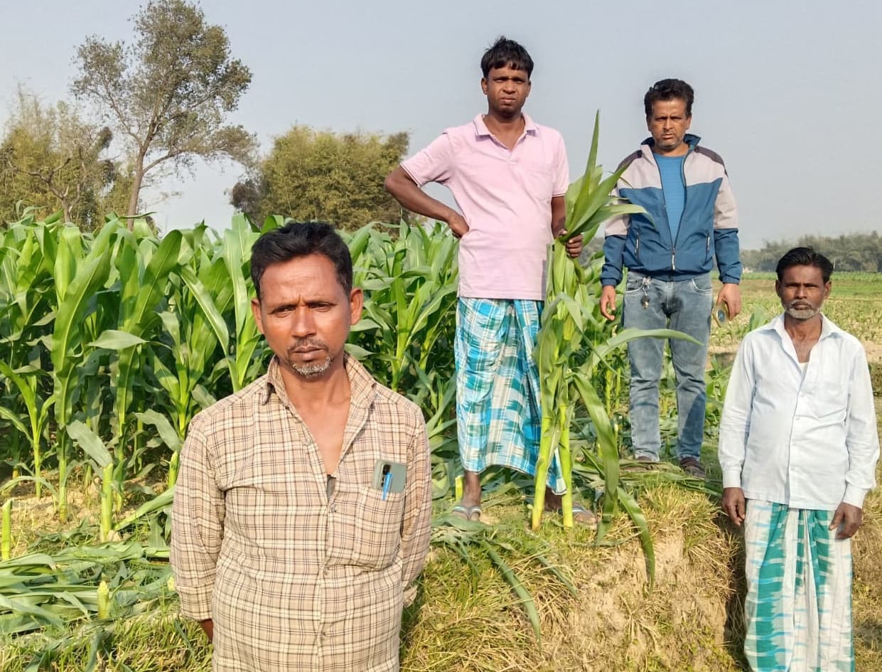 किसान की 40 डिसमिल मक्का फसल को काटकर किया  बर्बाद