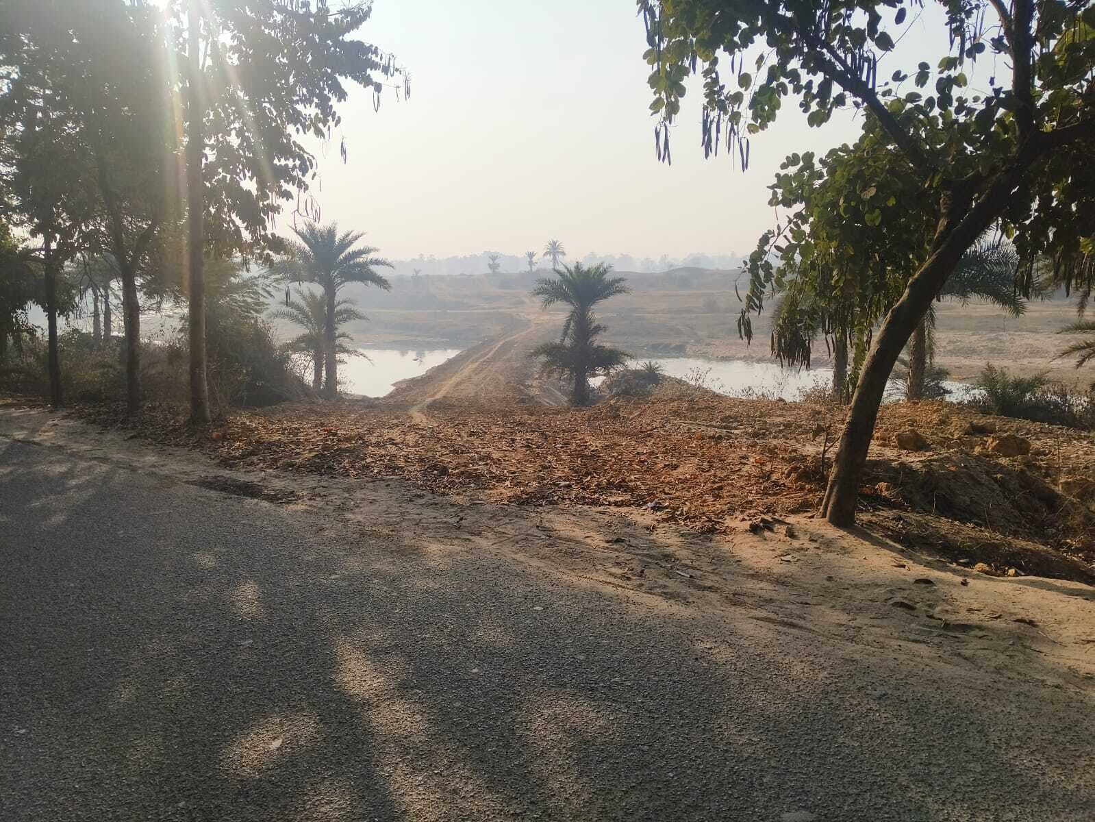 सामाजिक कार्यकर्ता ने की पेड़ों की अवैध कटाई रोकने की मांग