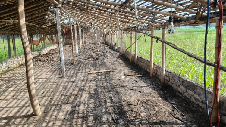 मुर्गी फार्म में लगी आग, संचालिका ने गांव के ही तीन लोगों पर आग लगाने का लगाया आरोप