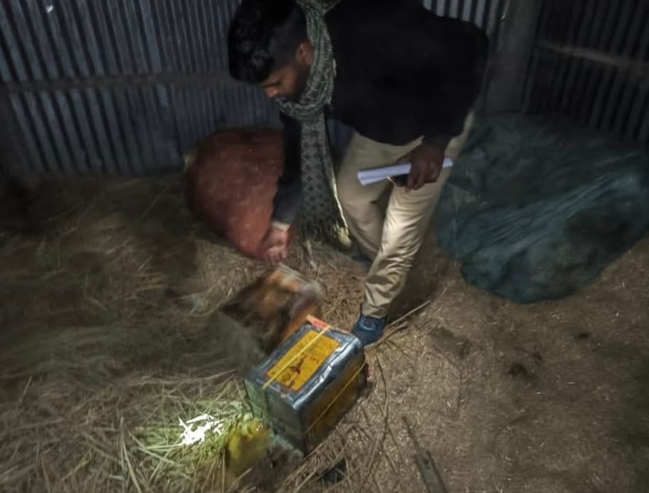 34 लीटर देसी शराब के साथ एक अभियुक्त गिरफ्तार