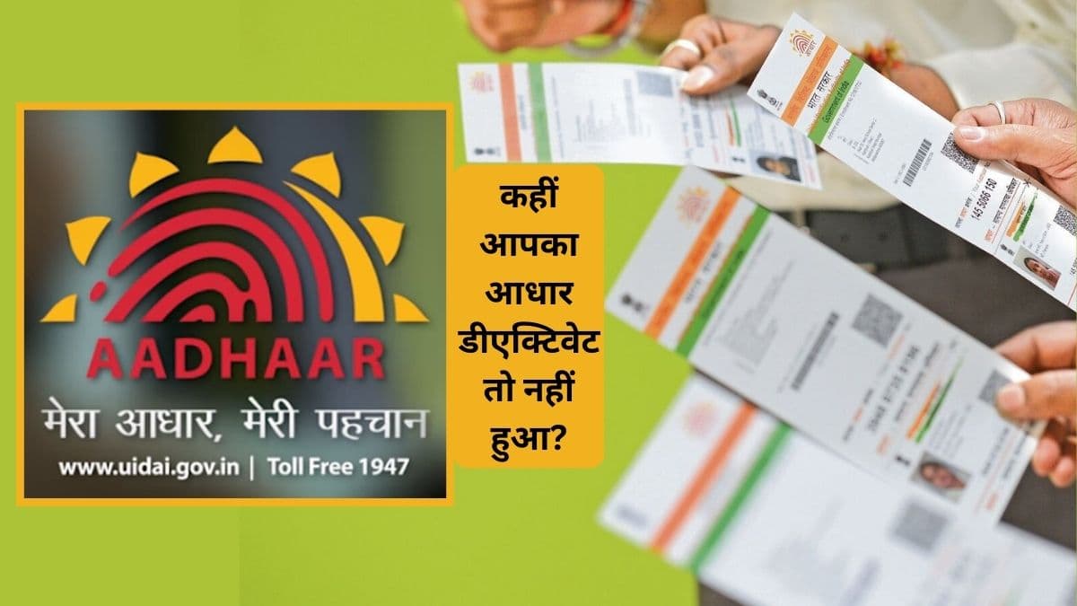 UIDAI ने बंद किये 2.5 करोड़ आधार नंबर, जानें अपने आधार का स्टेटस ऑनलाइन