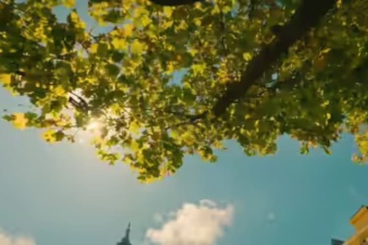 बिहार में मौसम का दोहरा रंग, कहीं बादल तो कहीं चुभती गर्मी