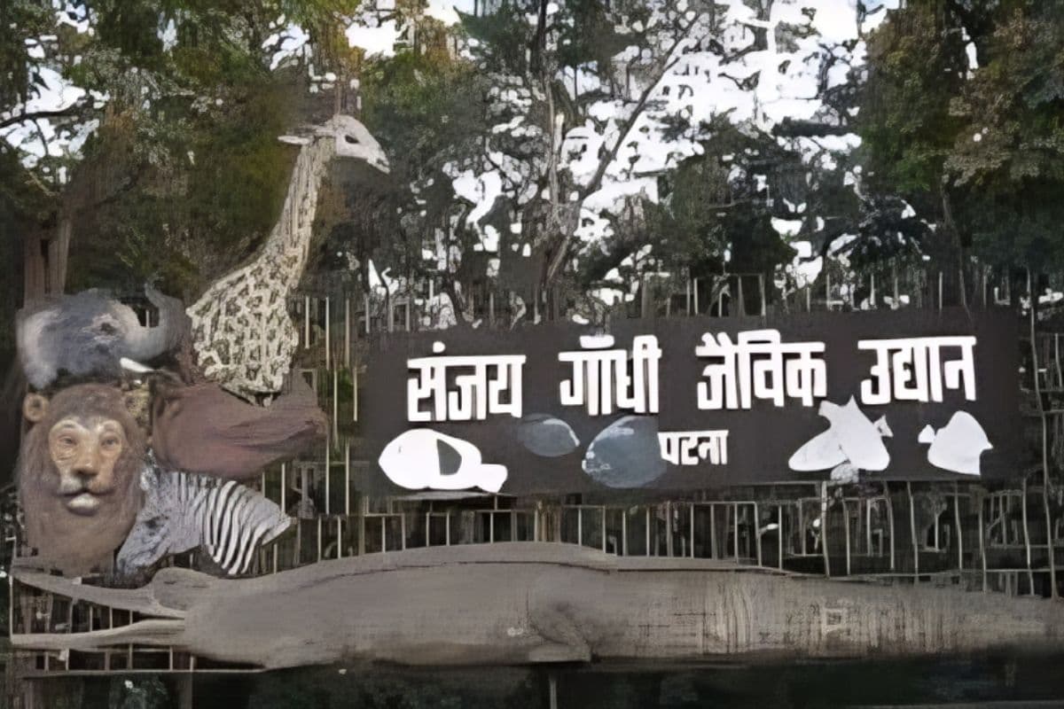 Bihar News: पटना जू हाई अलर्ट पर, बर्ड फ्लू के डर से बदला जानवरों का मेन्यू, एंट्री गेट पर जूतों की सख्त जांच