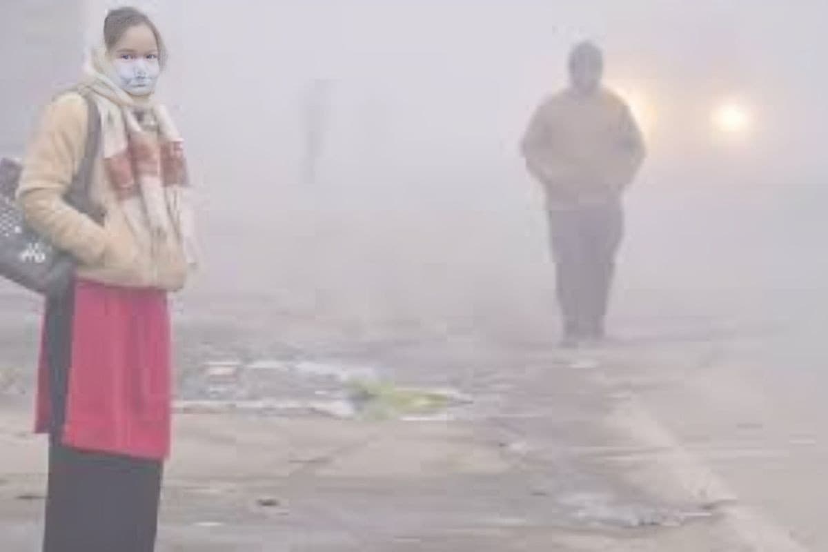 बिहार के 12 जिलों में कोहरे का यलो अलर्ट, भागलपुर में 9 डिग्री वाली कनकनी, जानें आपके शहर का हाल