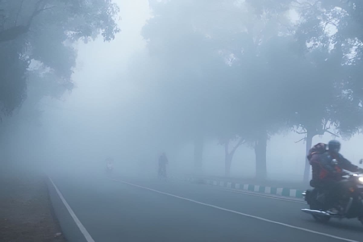 बिहार में कहीं जीरो विजिबिलिटी वाला कोहरा,तो कहीं धूप, 12 फरवरी से पलटेगा मौसम