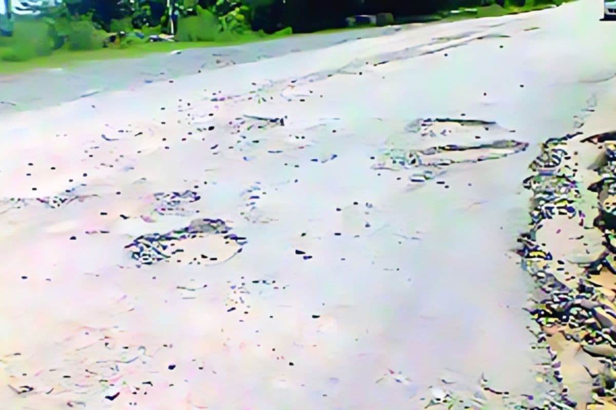 Bihar News: अप्रैल 2026 तक खत्म होंगे सभी ब्लैक स्पॉट, सुरक्षा मानकों से लैस होंगी राज्य की सड़कें