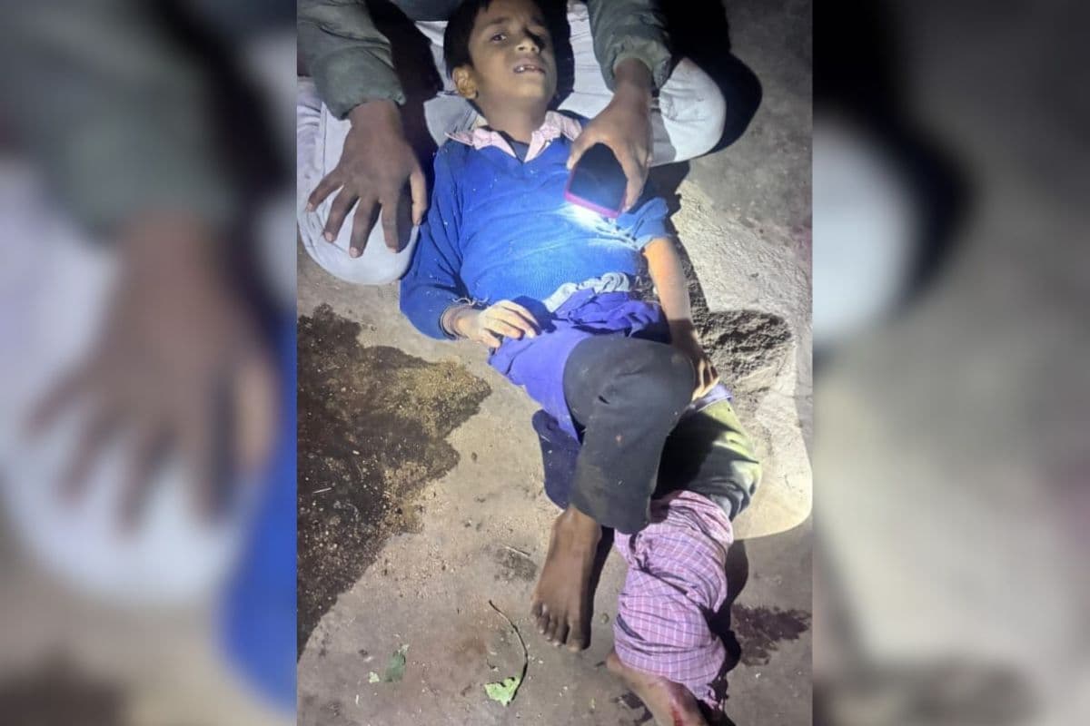 महुआटांड़ के गांगपुर में हाथियों ने दादा-पोते की ली जान, परिवार के कई लोग गंभीर रूप से घायल