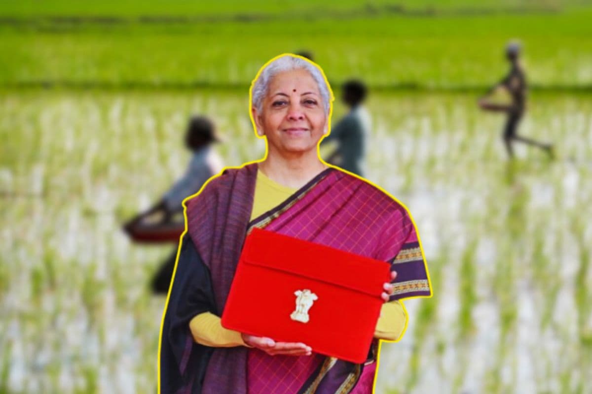 Budget 2026: भारत का नया AI प्लेटफॉर्म ‘भारत विस्तार’ पहुंचेगा किसानों तक, जानिए कैसे बदल जाएगी खेती