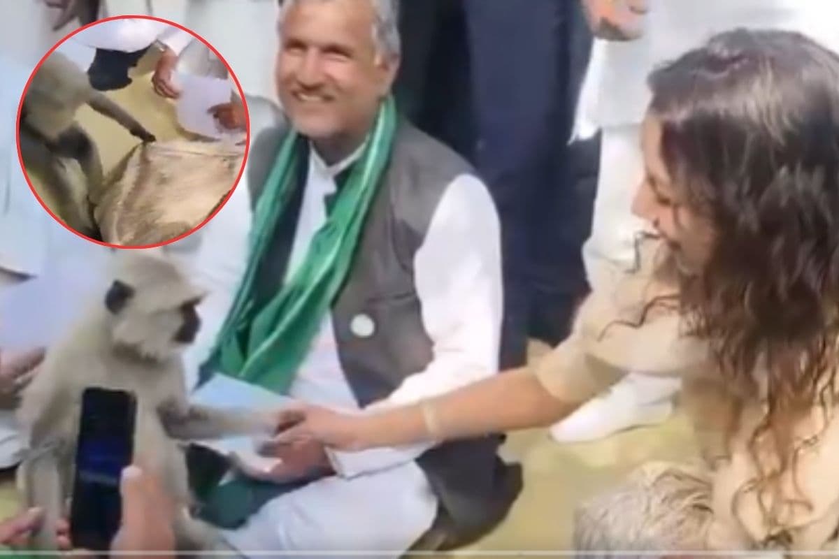 मत जाओ डीएम साहिबा! लंगूर ने पकड़ ली साड़ी