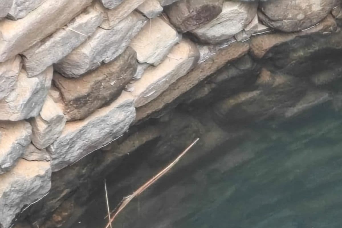 दुमका में हादसे के बाद लापता चालक की मिली डेड बॉडी, पिता ने जताई लूटपाट और हत्या की आशंका