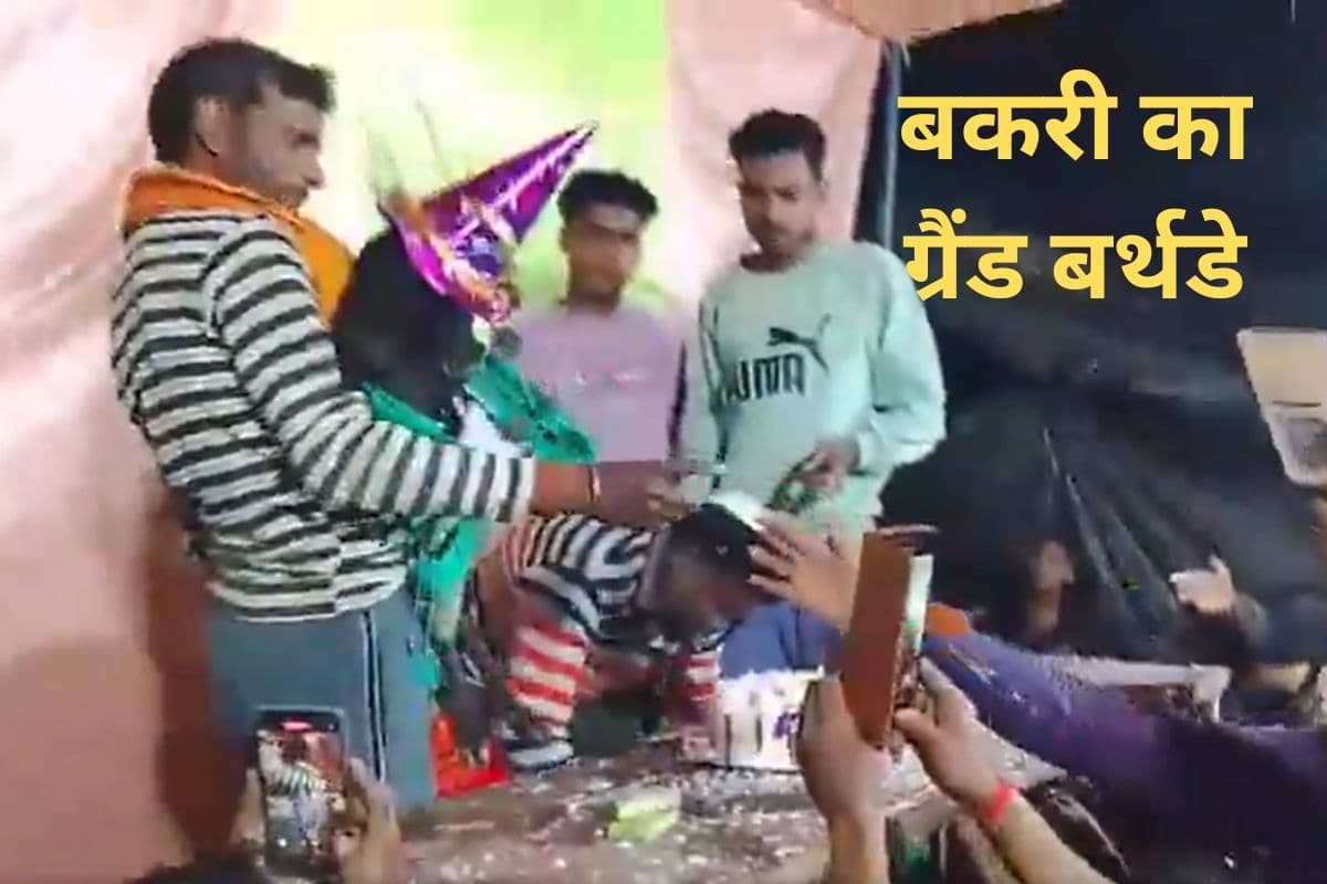 बकरी का ग्रैंड बर्थडे: रामायण-भागवत पाठ, DJ पर डांस और सैकड़ों मेहमान