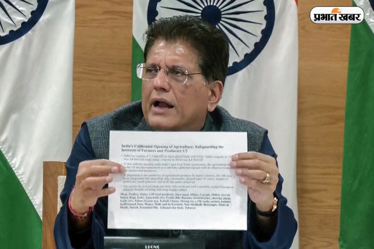 मसाले-दवाइयां-डायमंड्स पर 0 ड्यूटी, पीयूष गोयल ने बताए डील के फायदे