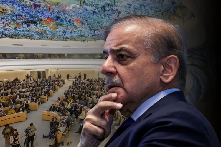 UN में भारत ने कर दी बोलती बंद, कहा- 'ला-ला लैंड' में जी रहा है पाकिस्तान