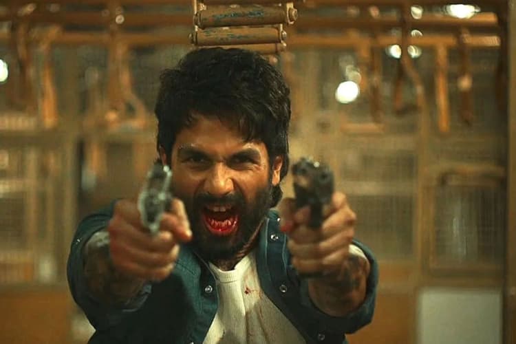 O Romeo: आठवें दिन कैसा है 'ओ रोमियो' का हाल? बॉक्स ऑफिस पर दिखी सुस्ती