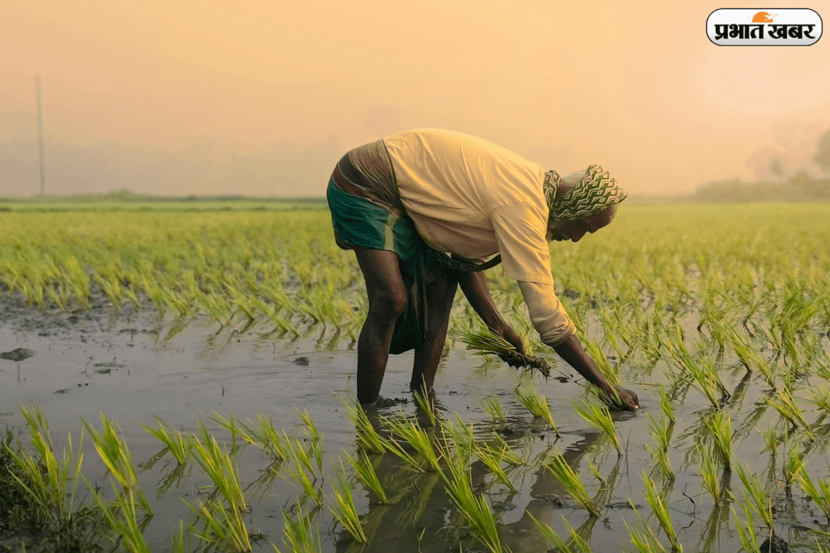 मार्च तक आ सकती है PM-Kisan की अगली किस्त, ऐसे करें चेक