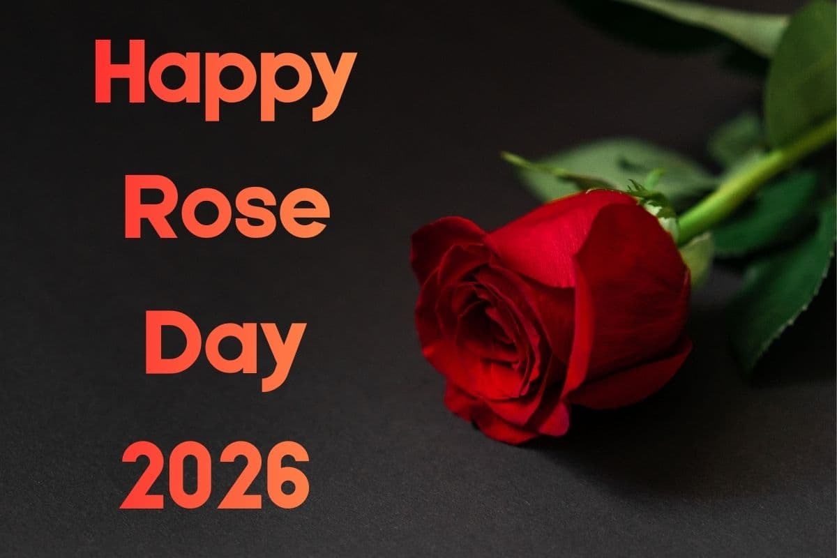 एक गुलाब आपके नाम, रोज डे पर किसी खास को भेजें ये प्यारे संदेश