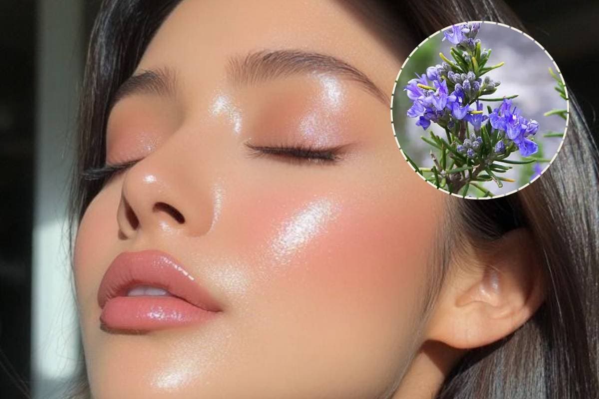 रोजमेरी ऑयल से पाएं ग्लोइंग स्किन, एक्ने और ऑयली स्किन से मिलेगा छुटकारा