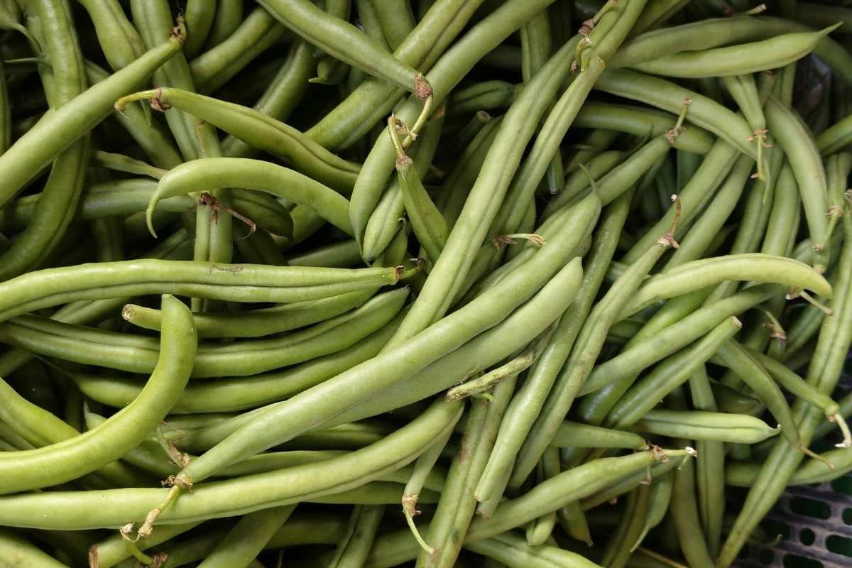 बीन्स को फ्रेश रखने के लिए फॉलो करें ये जबरदस्त टिप्स 