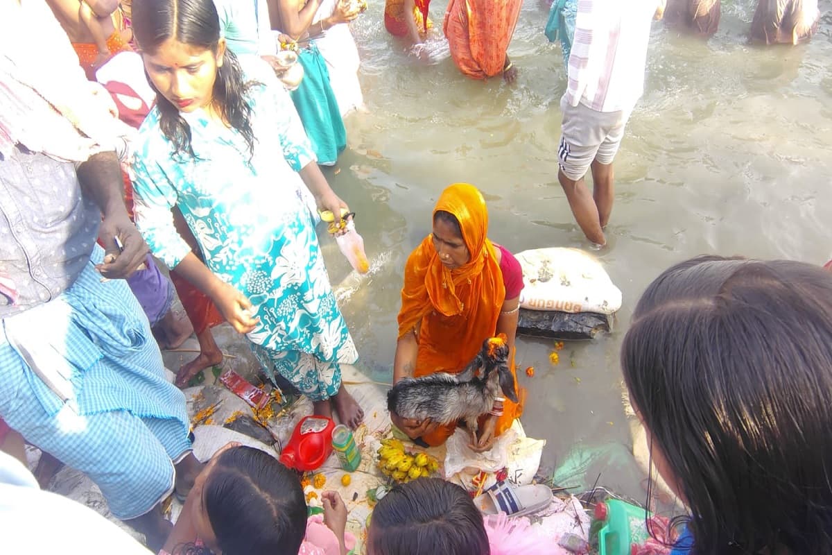 Tribal Mahakumbh: राजमहल की उत्तर वाहिनी गंगा में लाखों श्रद्धालुओं ने लगाई आस्था की डुबकी, मरांग बुरू का जलाभिषेक