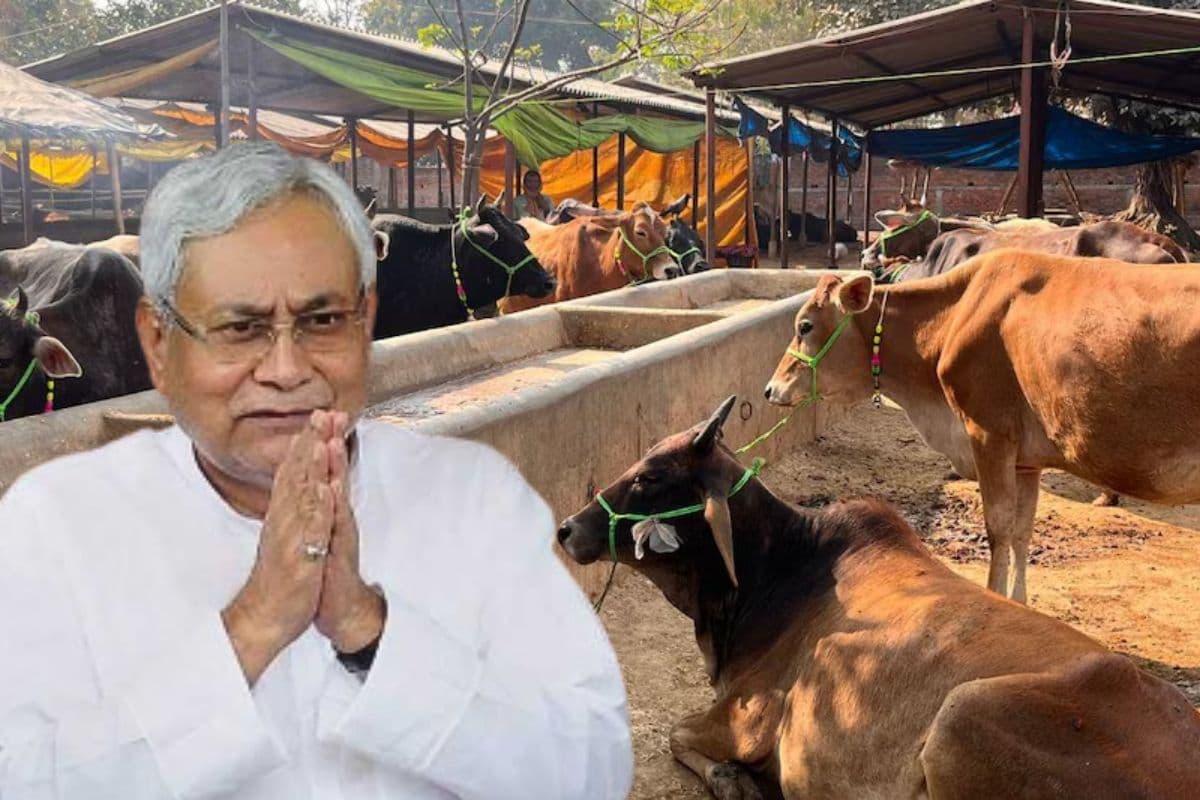 बिहार के पशुपालकों का बढ़ेगा इनकम, सरकार ने दो साल के लिए बनाया प्लान