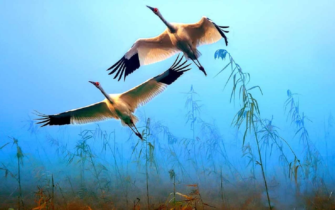 वैलेंटाइन डे पर चलेंगी वसंत की ठंडी हवाएं, बदलने लगा बंगाल का मौसम, इस दिन से चढ़ेगा पारा