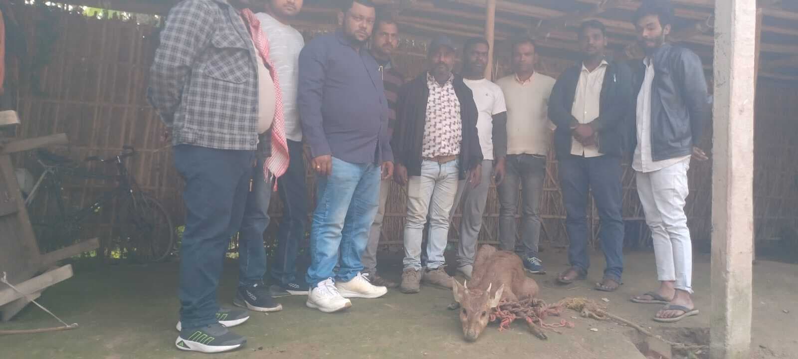 नेपाल से भटककर सुपौल पहुंचा जंगली हिरण, ग्रामीणों ने सुरक्षित रेस्क्यू कर वन विभाग को सौंपा