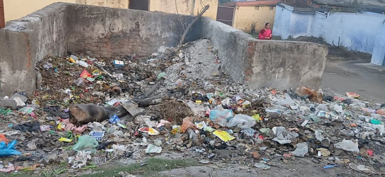 Bokaro News : मुहल्लों में ठीक नहीं है सफाई की स्थिति