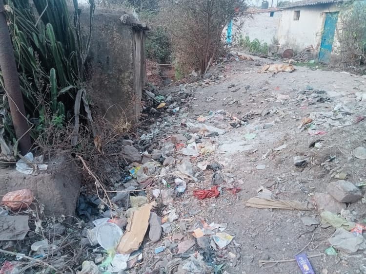 Dhanbad News: मुहल्लों में गंदगी का अंबार, लटके हैं जर्जर तार