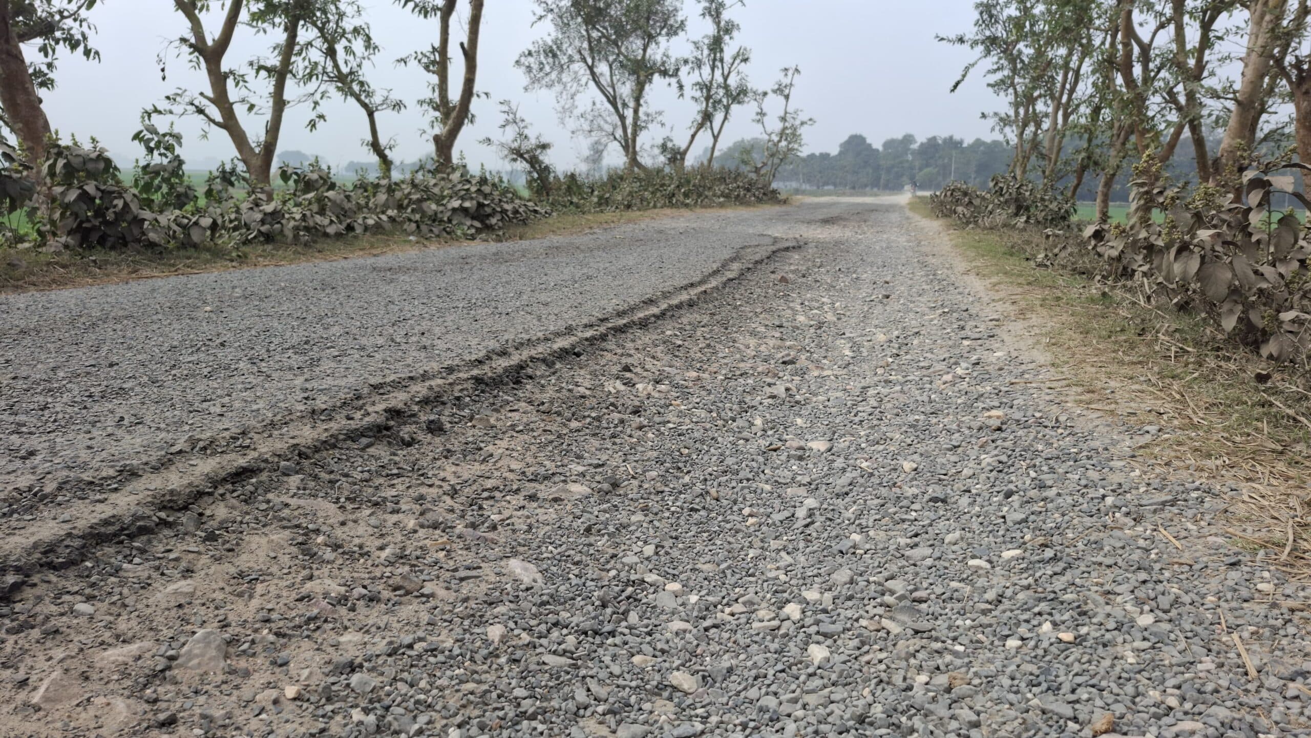 जर्जर सड़क पर हादसे की बनी रहती है आशंका, विधायक से सड़क मरम्मत की मांग