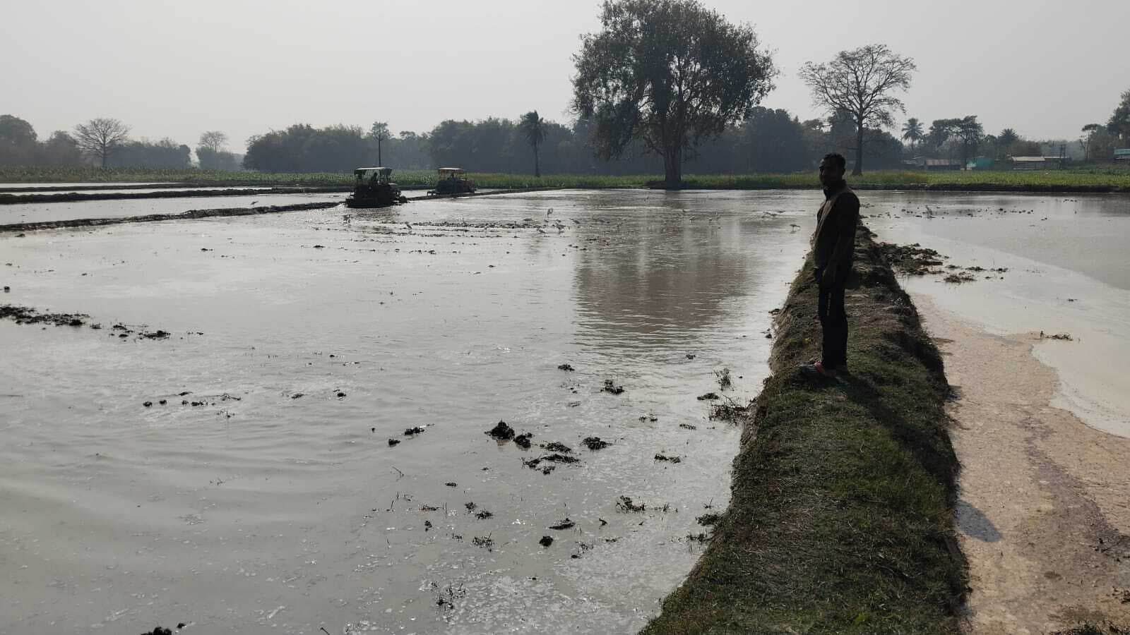 मखाना की खेती में मन लगा रहे क्षेत्र के किसान