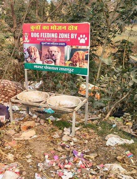 आवारा कुत्तों के भोजन के लिए दो वार्ड में स्थल निर्धारित