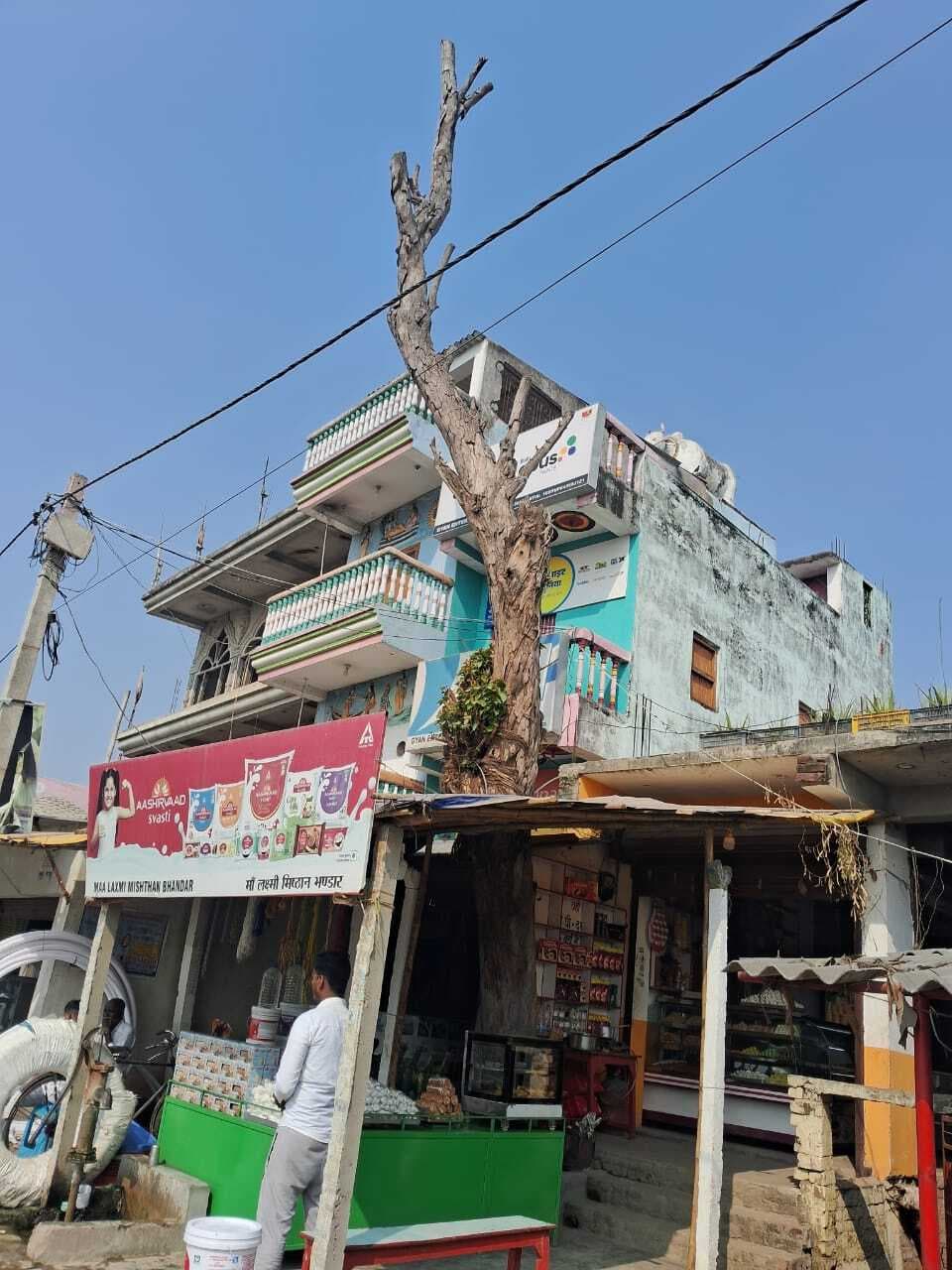 खेरिया बाजार में सूखा पेड़ बढ़ा रहा खतरा