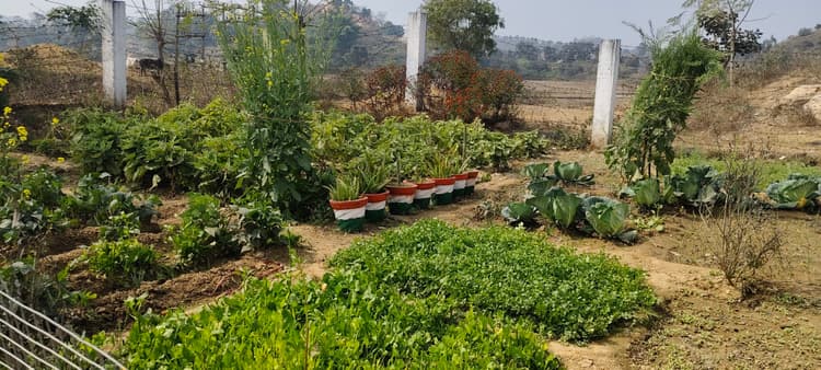 Giridih News :उमवि गोरियांचू बना विद्यालयों के लिए प्रेरणास्रोत्र