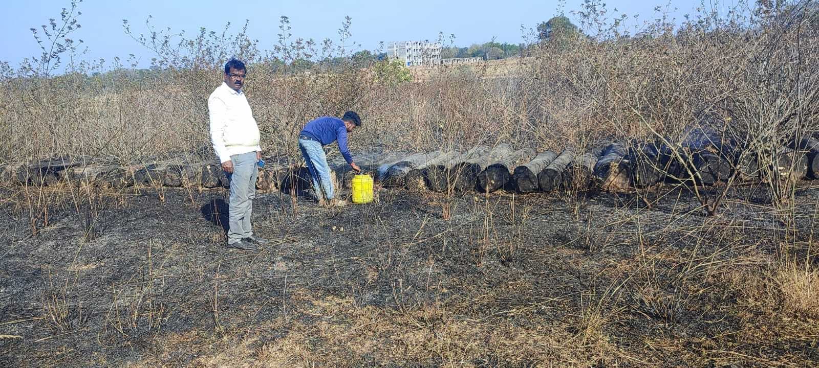 टिंबर में लगी आग, तीन ट्रक लकड़ी स्वाहा