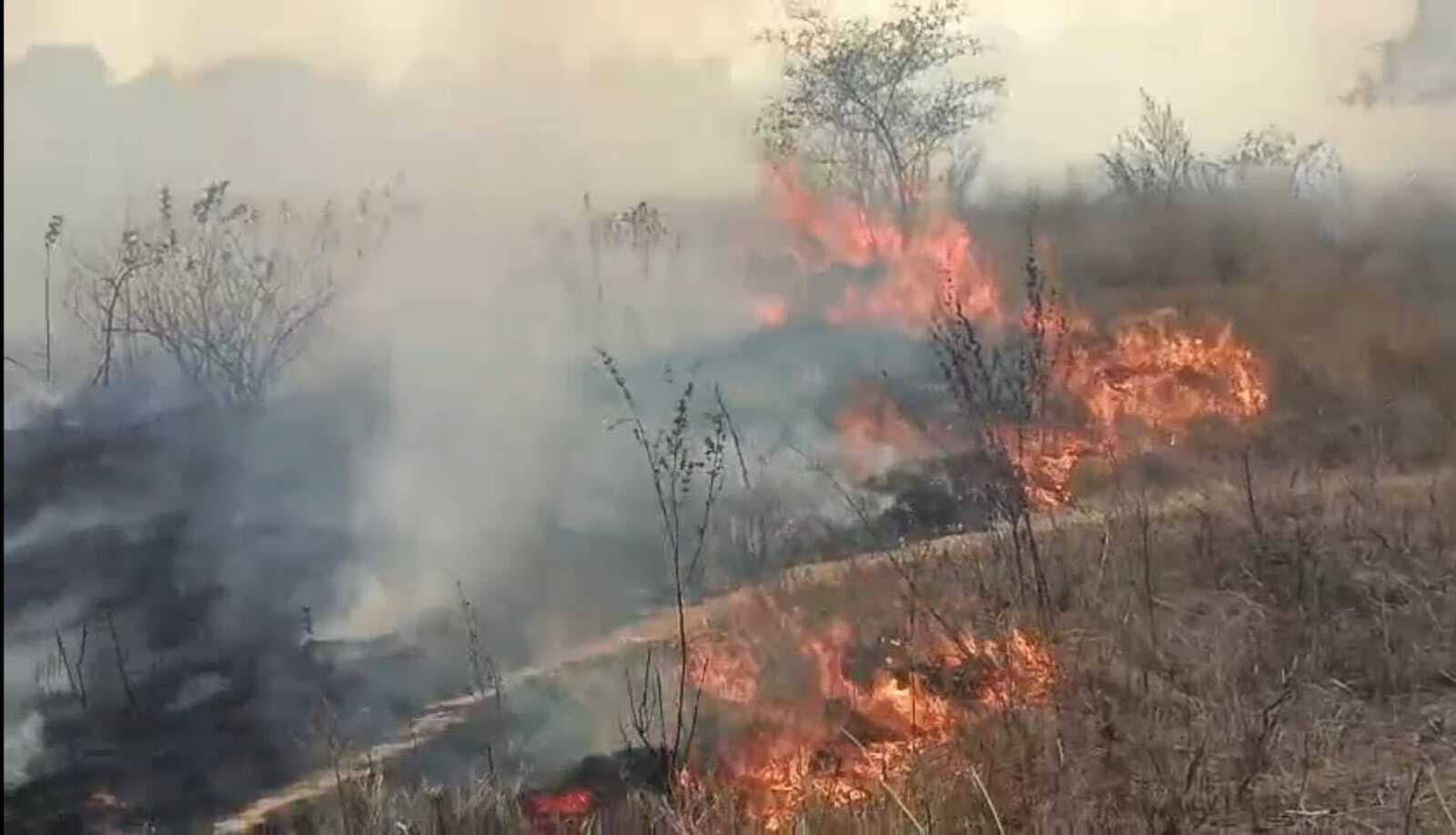 Chaibasa News : झींकपानी सीएचसी के पास शरारती तत्वों ने झाड़ियों में लगायी आग, कई घर बचे