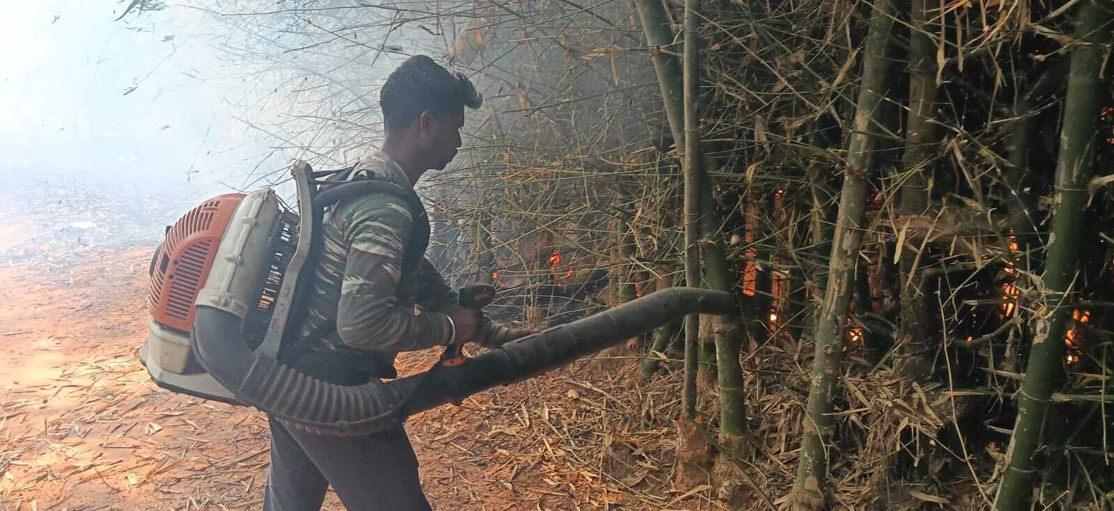 East Singhbhum News : चौठिया के जंगल में भीषण आग, घरों तक पहुंचीं लपटें