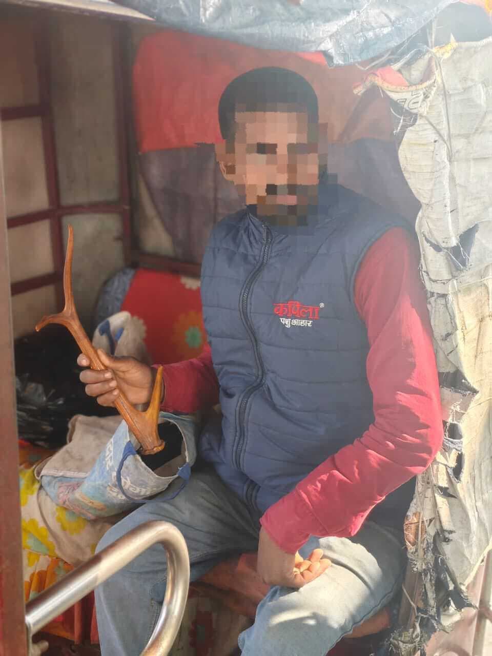 एसएसबी ने हिरन के सींग के साथ तस्कर को किया गिरफ्तार