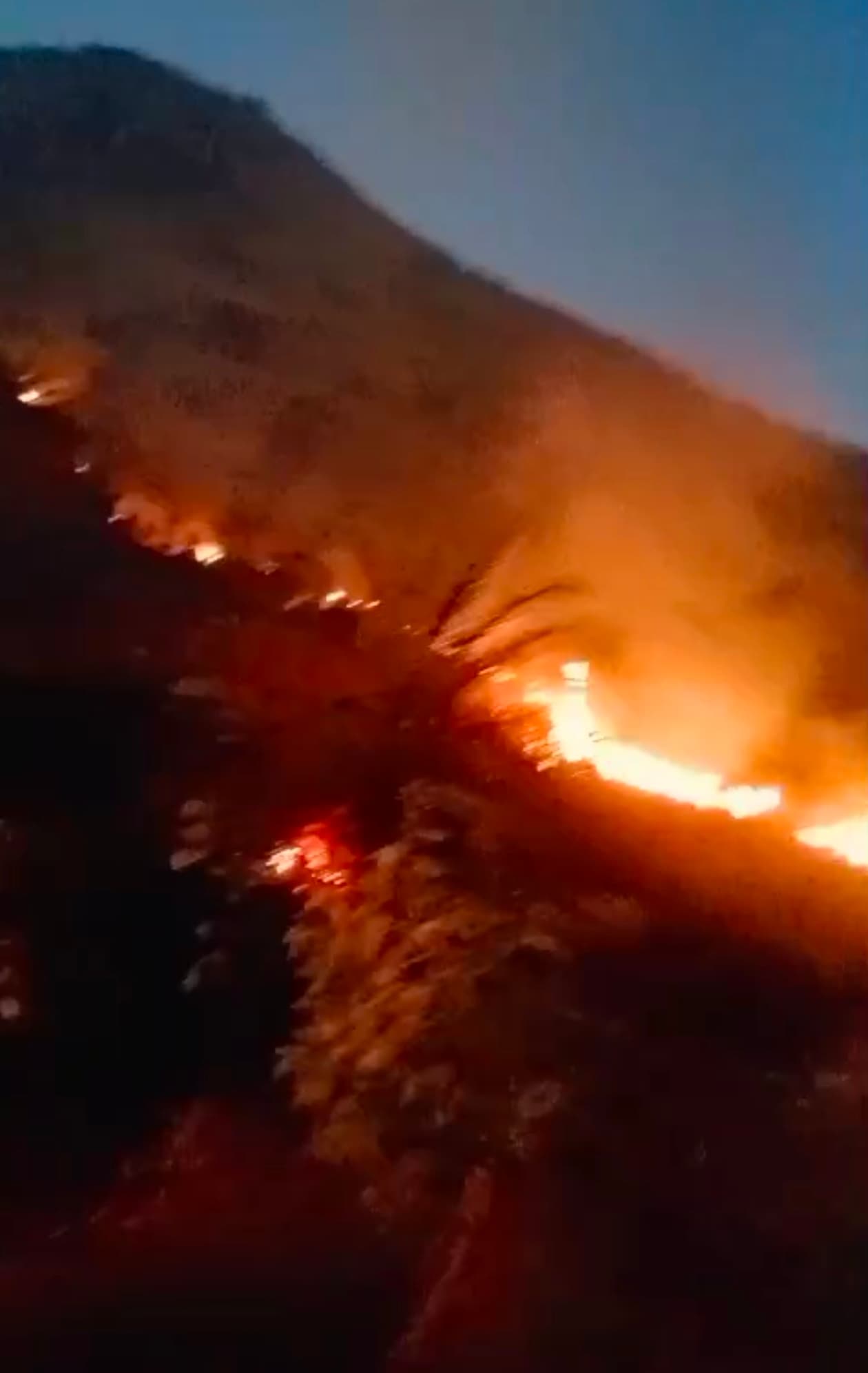 असामाजिक तत्वों ने बसहा जंगल व फूलजोरी पहाड़ में लगायी आग, दुर्लभ जड़ी-बुटी व बेशकीमती पौधे जलकर राख