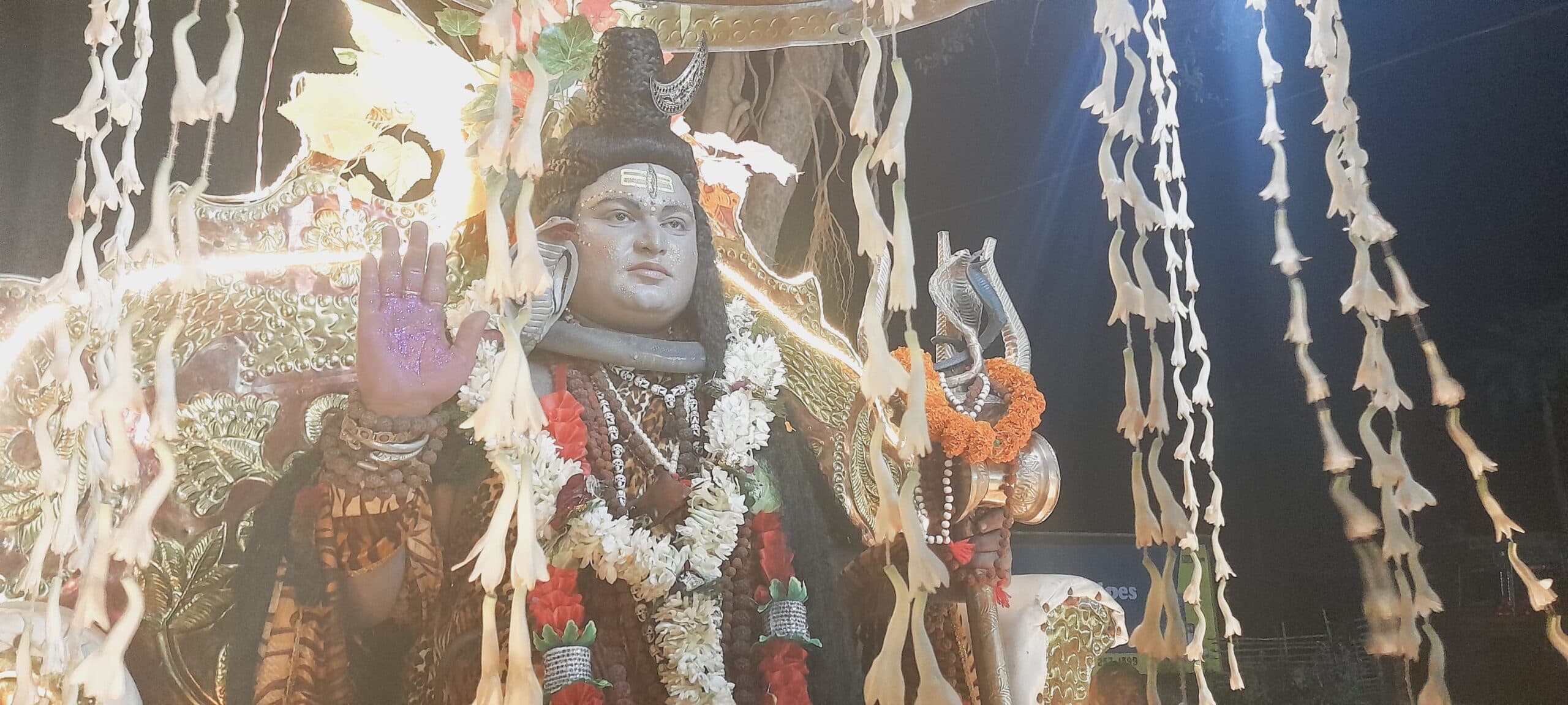 सारठ में धूमधाम से निकाली गयी शिव बारात