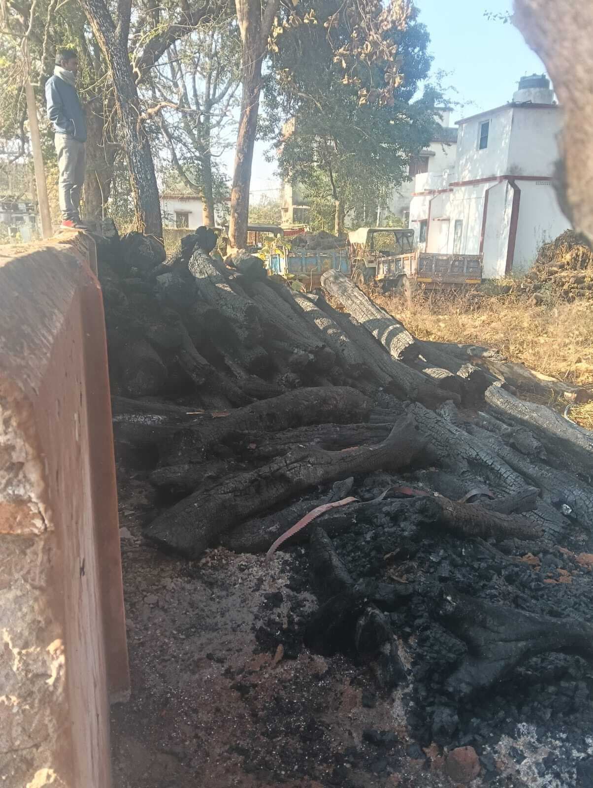 Giridih News :रेंज कार्यालय परिसर में लगी आग, लाखों की बेशकीमती लकड़ी जली