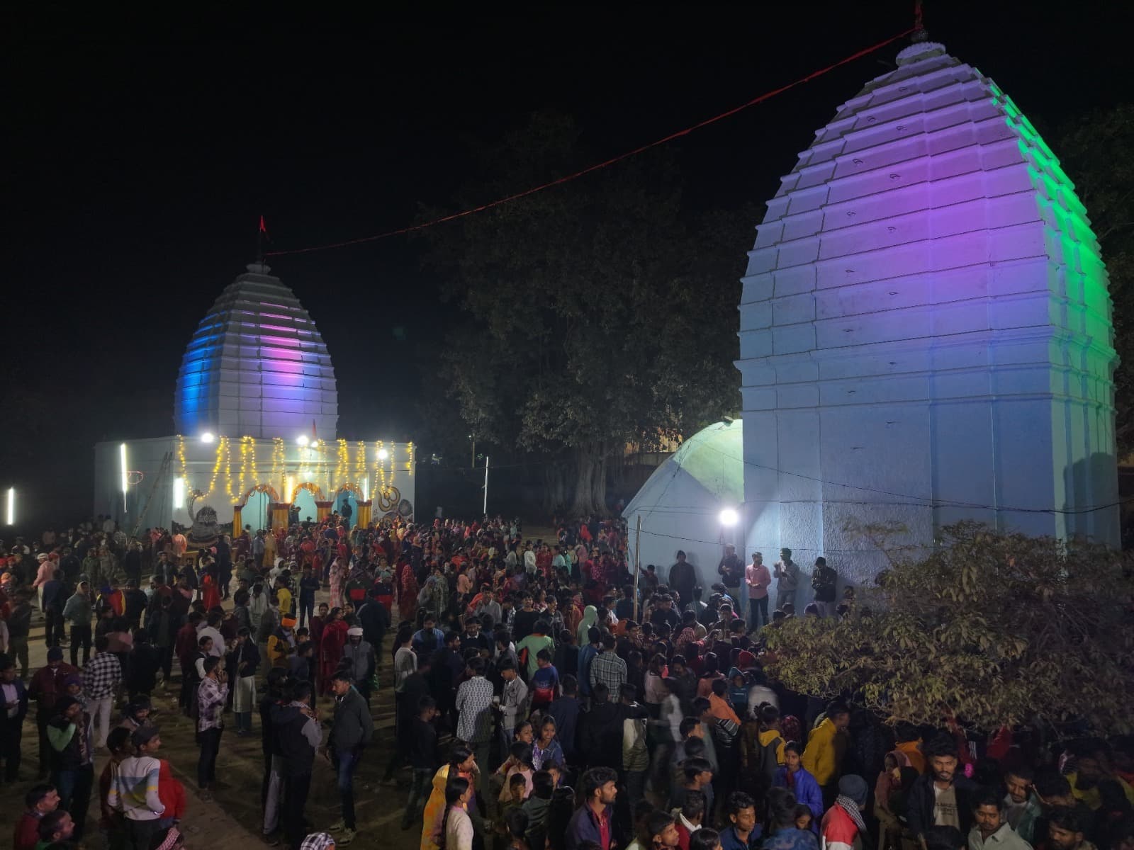 बाबा बूढ़ानाथ मंदिर समिति ने निकाली शिव की भव्य बारात