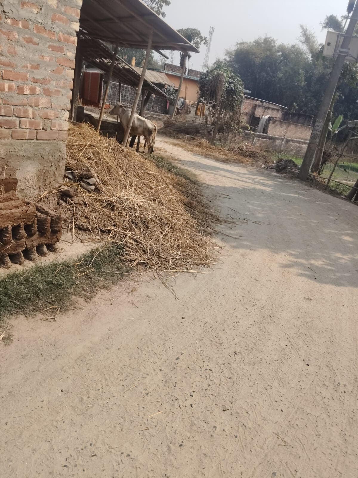 सिंगारमोहिनी-परमानपुर सड़क पर अतिक्रमण से आवागमन में कठिनाई